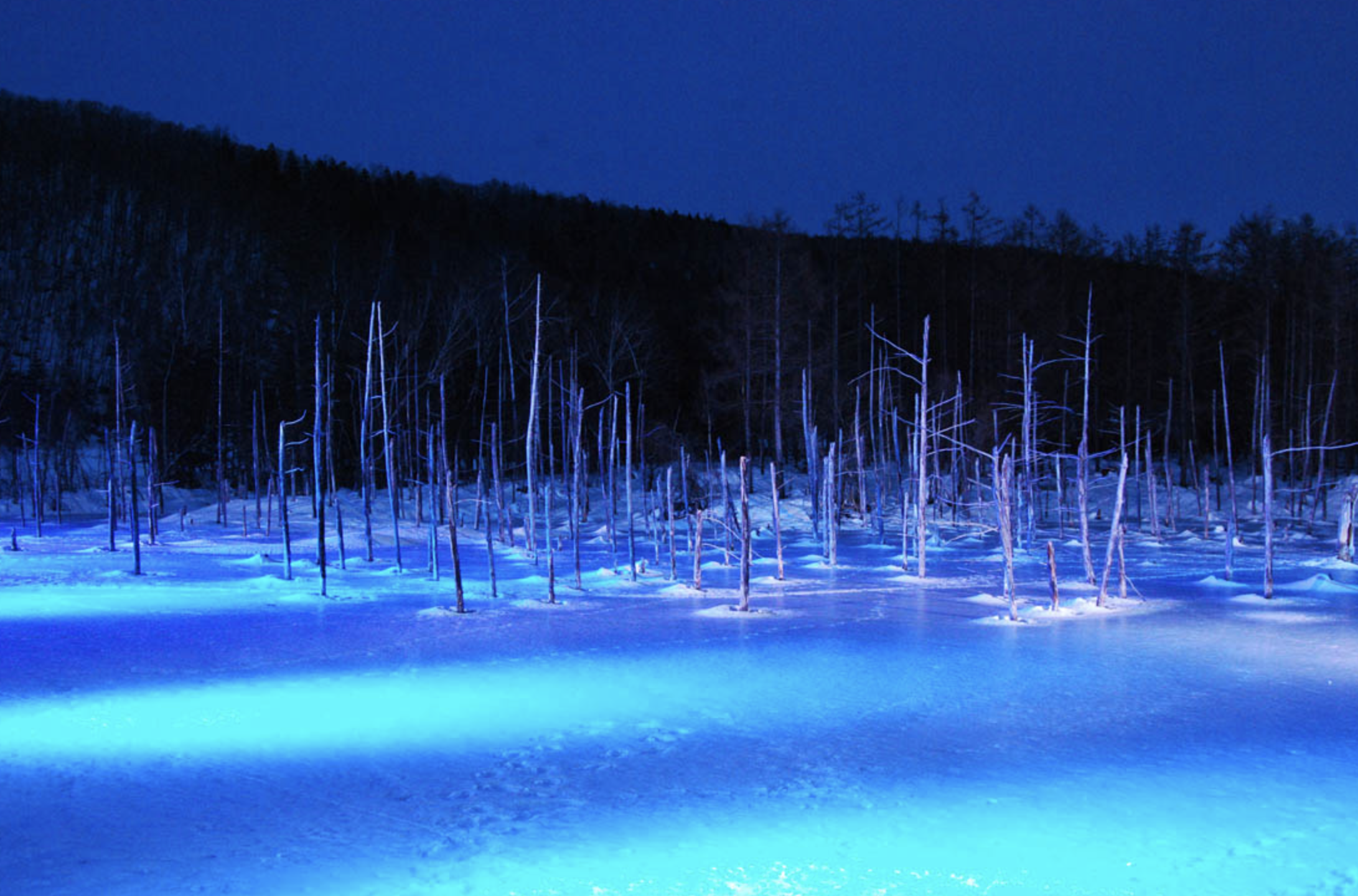 「北海道白金青い池」幻想的