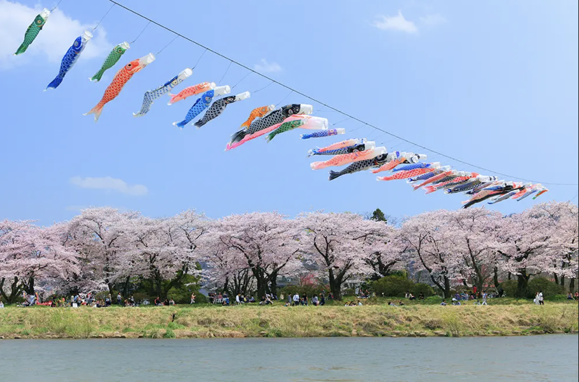 「岩手北上展勝地」桜スポット