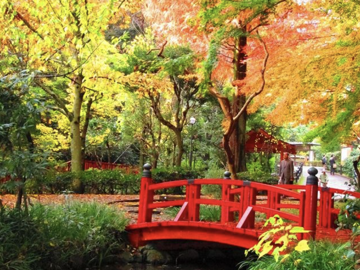 「神奈川万葉公園」散歩