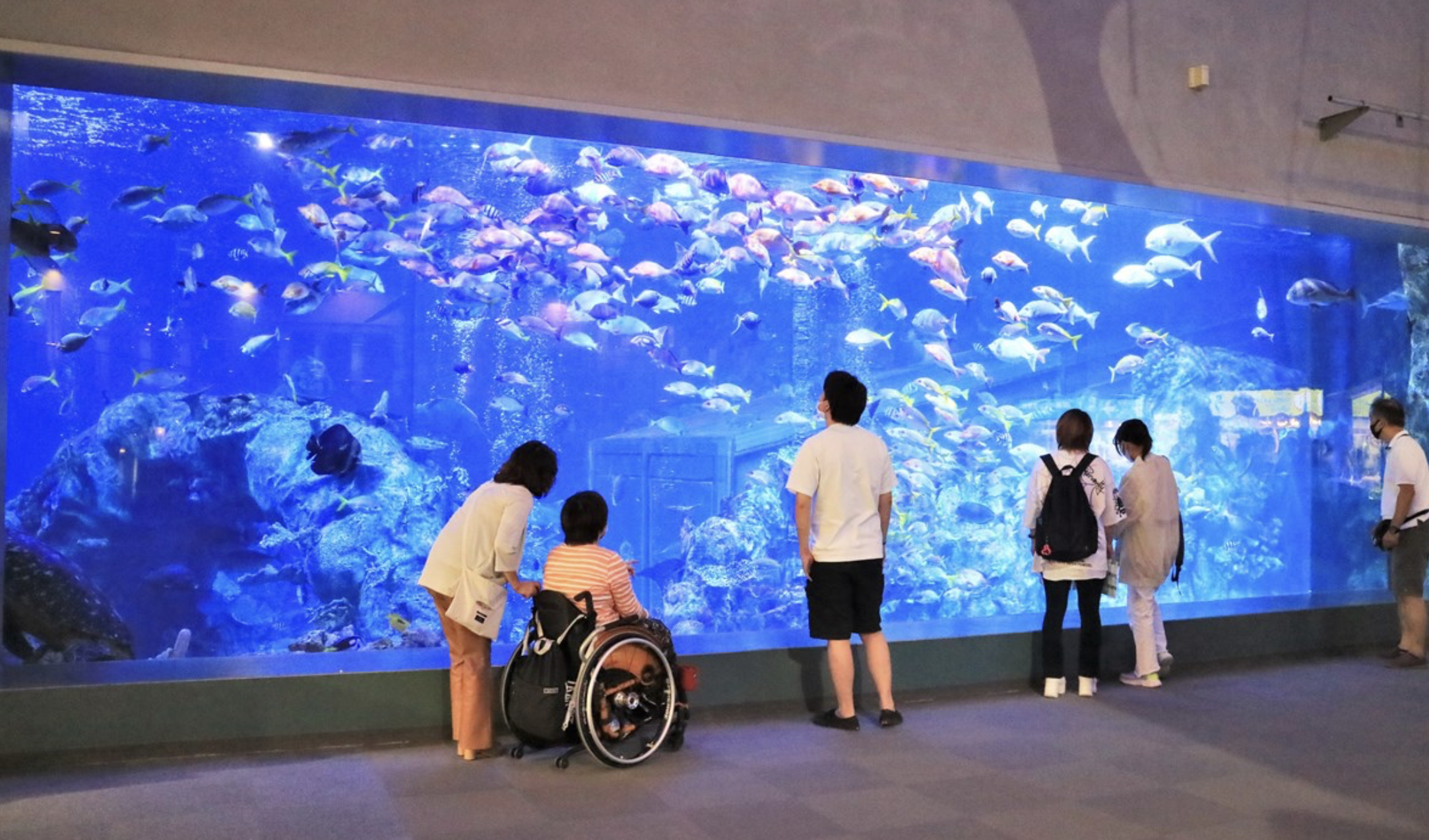 鳥羽水族館　観光