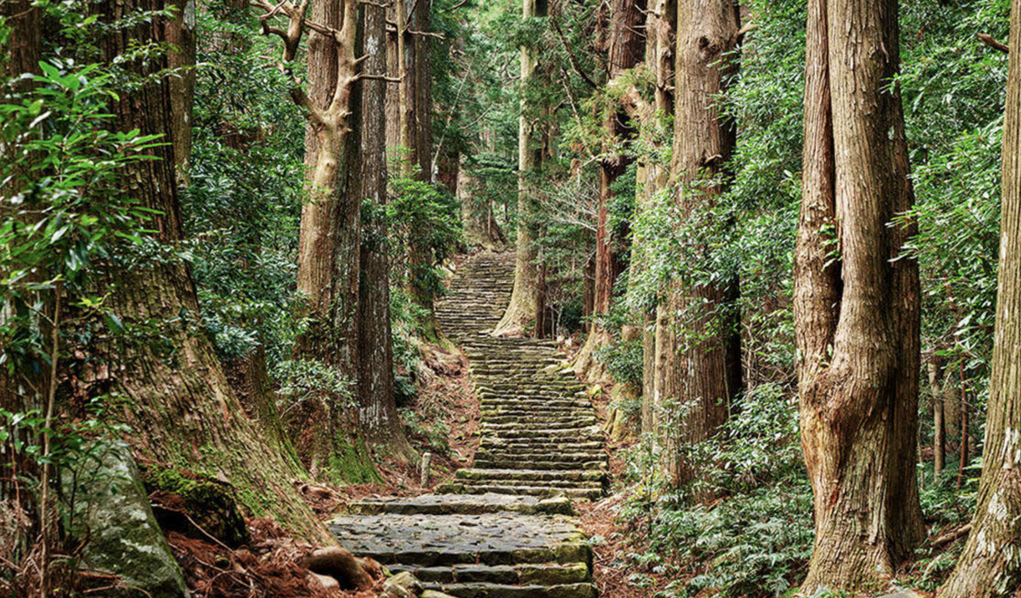 熊野古道　観光