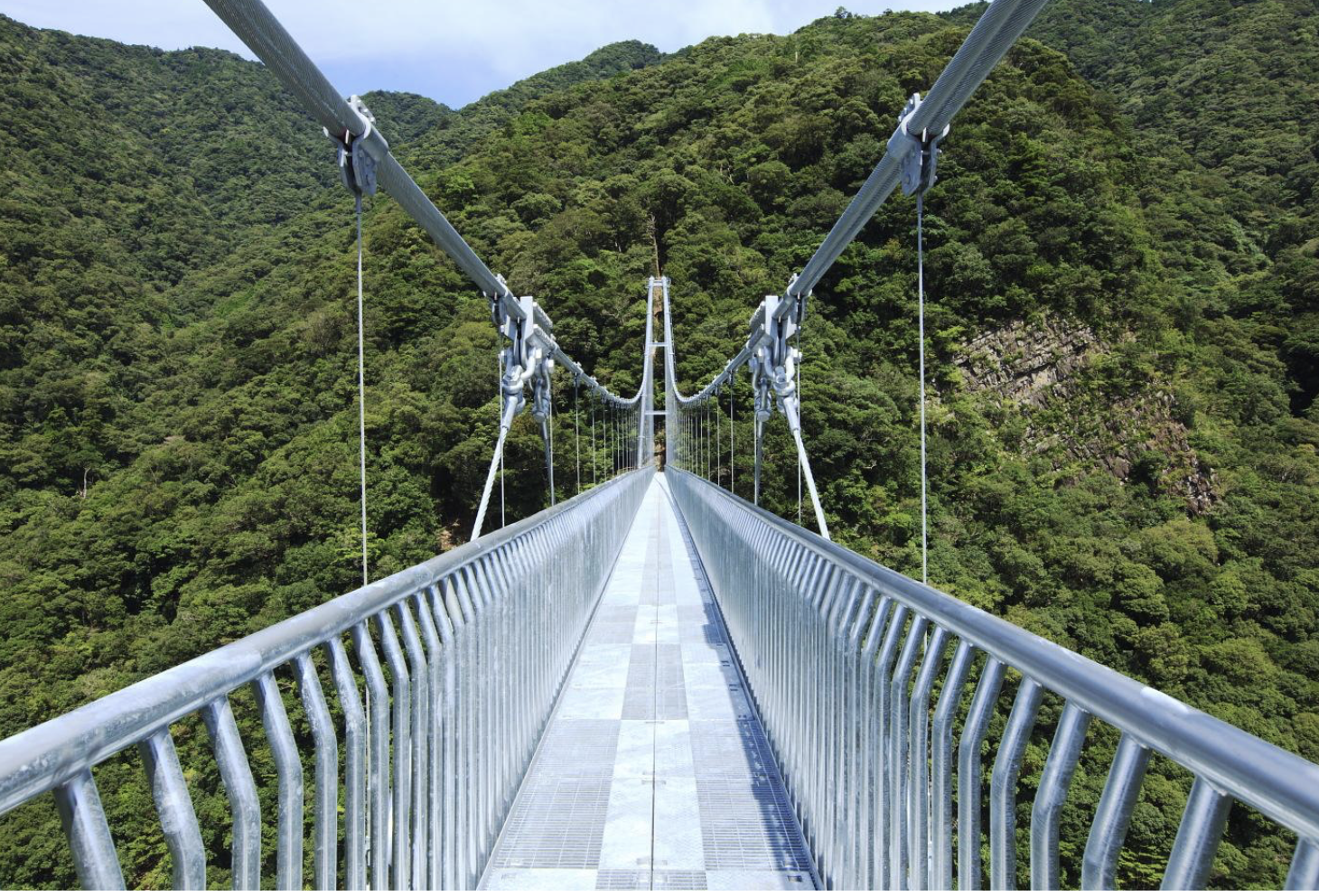 綾の照葉大吊橋　観光