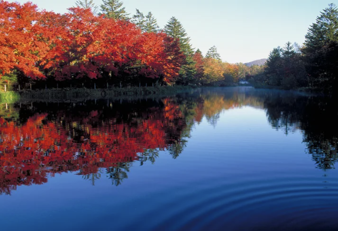 「長野雲場池」紅葉