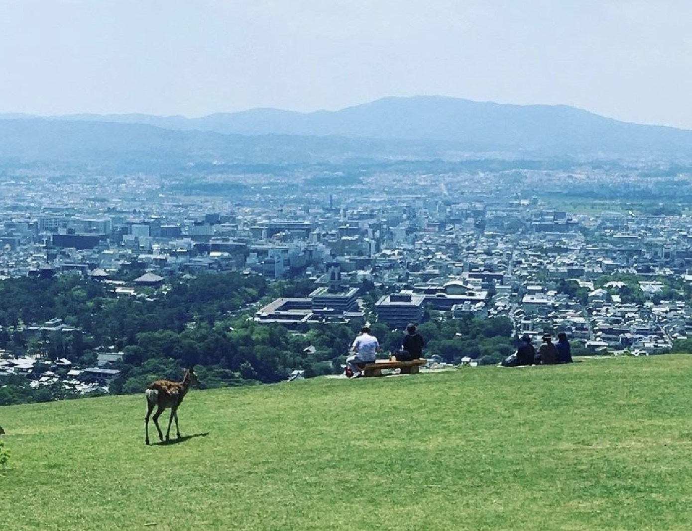 若草山　観光