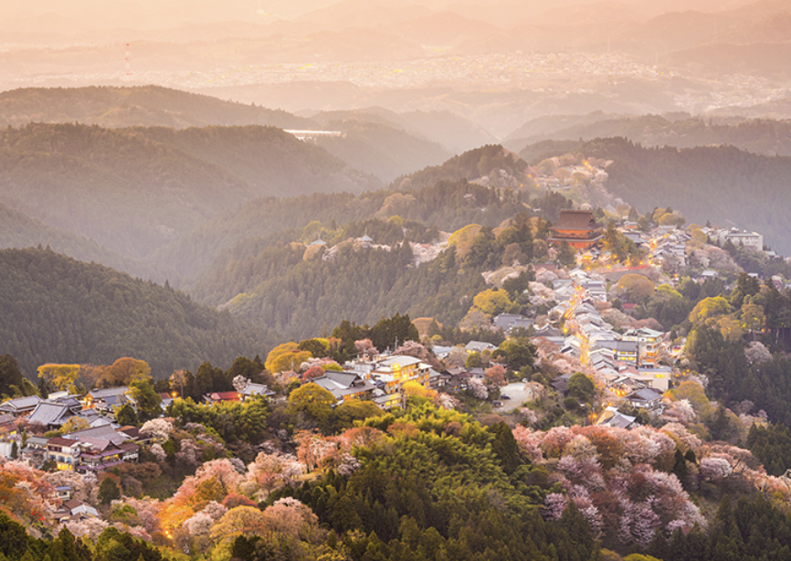 吉野山　観光