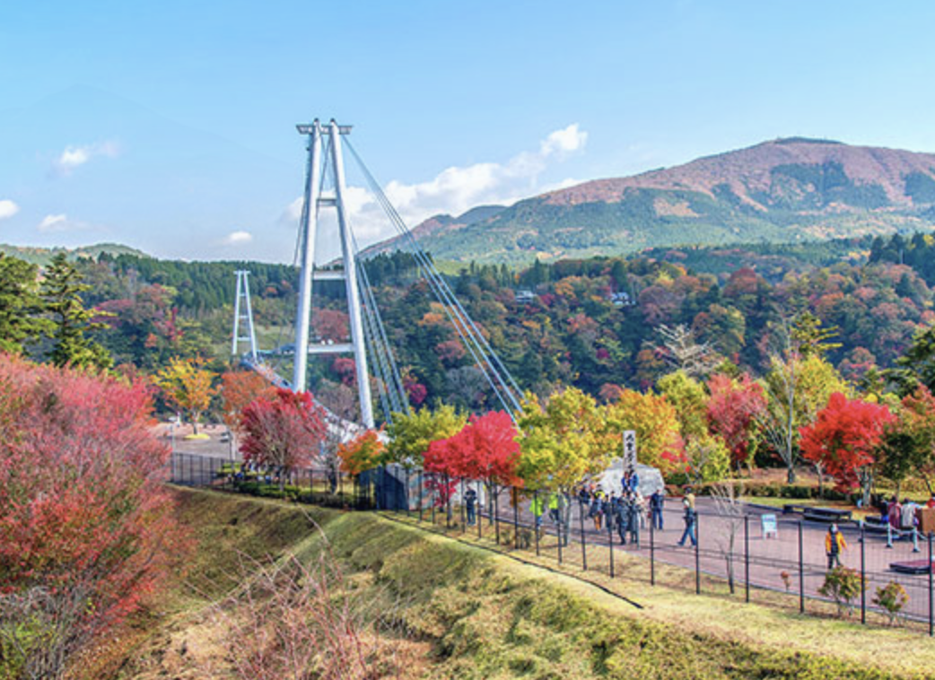 九重夢大吊橋　観光