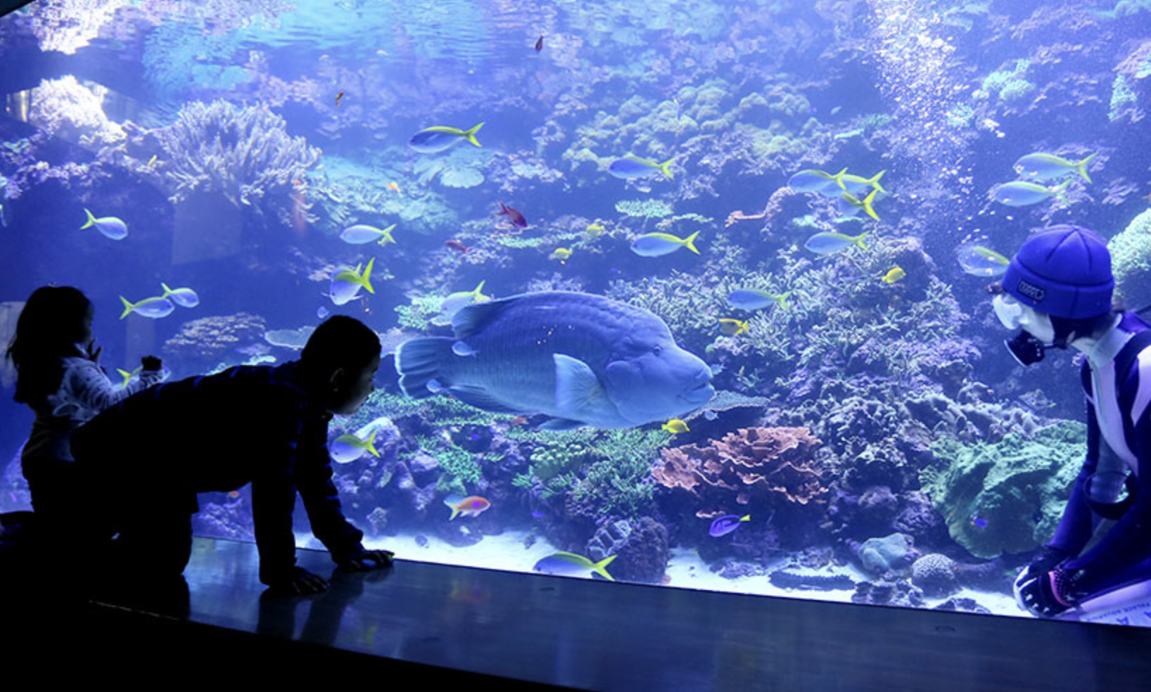 大分マリーンパレス水族館「うみたまご」　観光