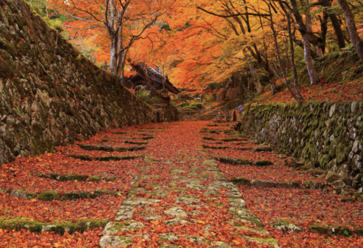 湖東三山　観光