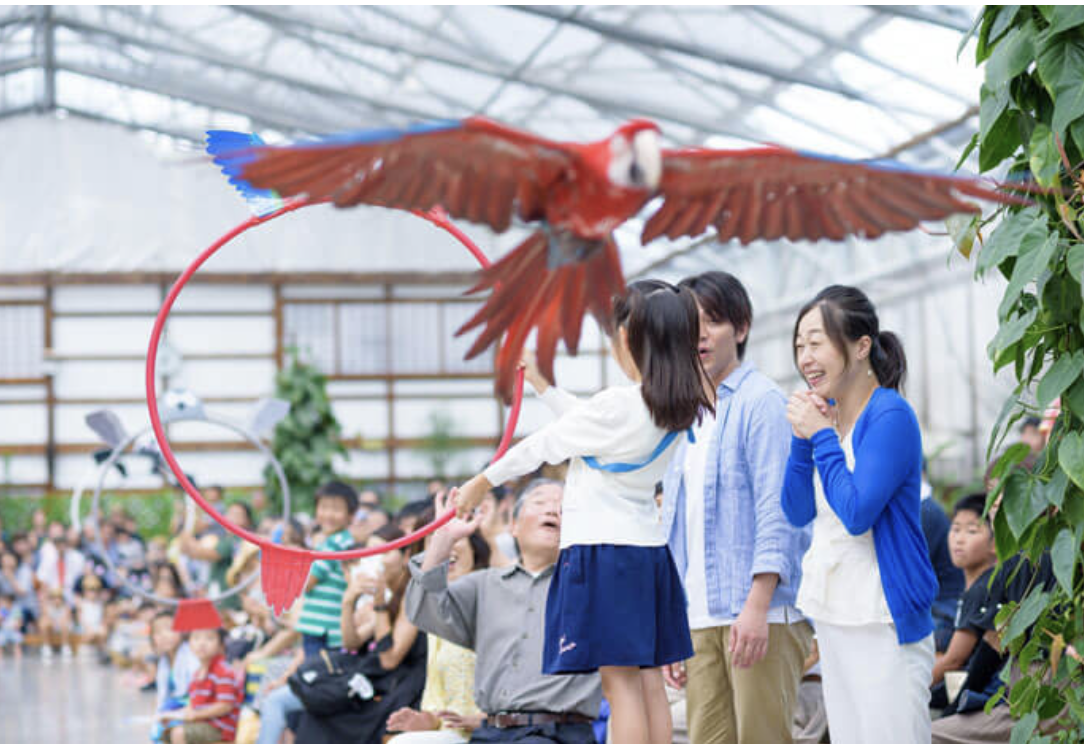 掛川花鳥園　観光