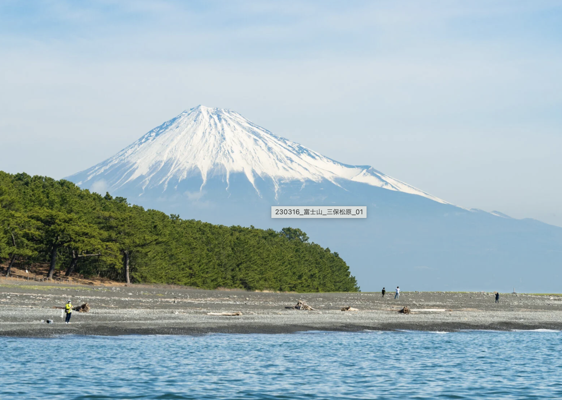 三保の松原　景色