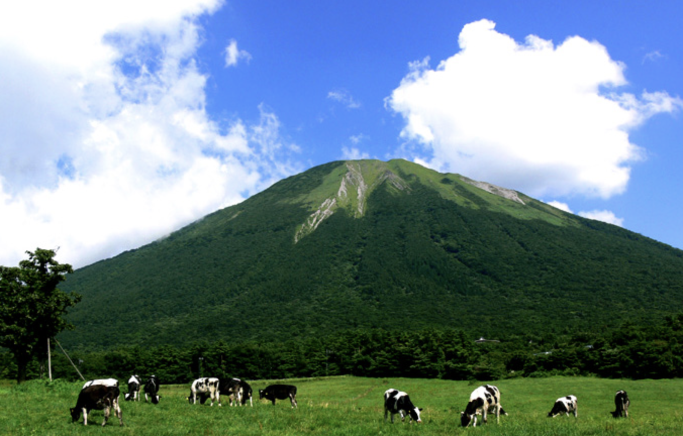 大山 観光