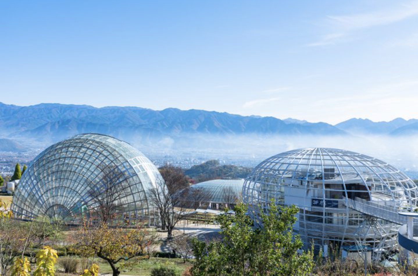 「山梨県笛吹川 フルーツ公園」果物収穫