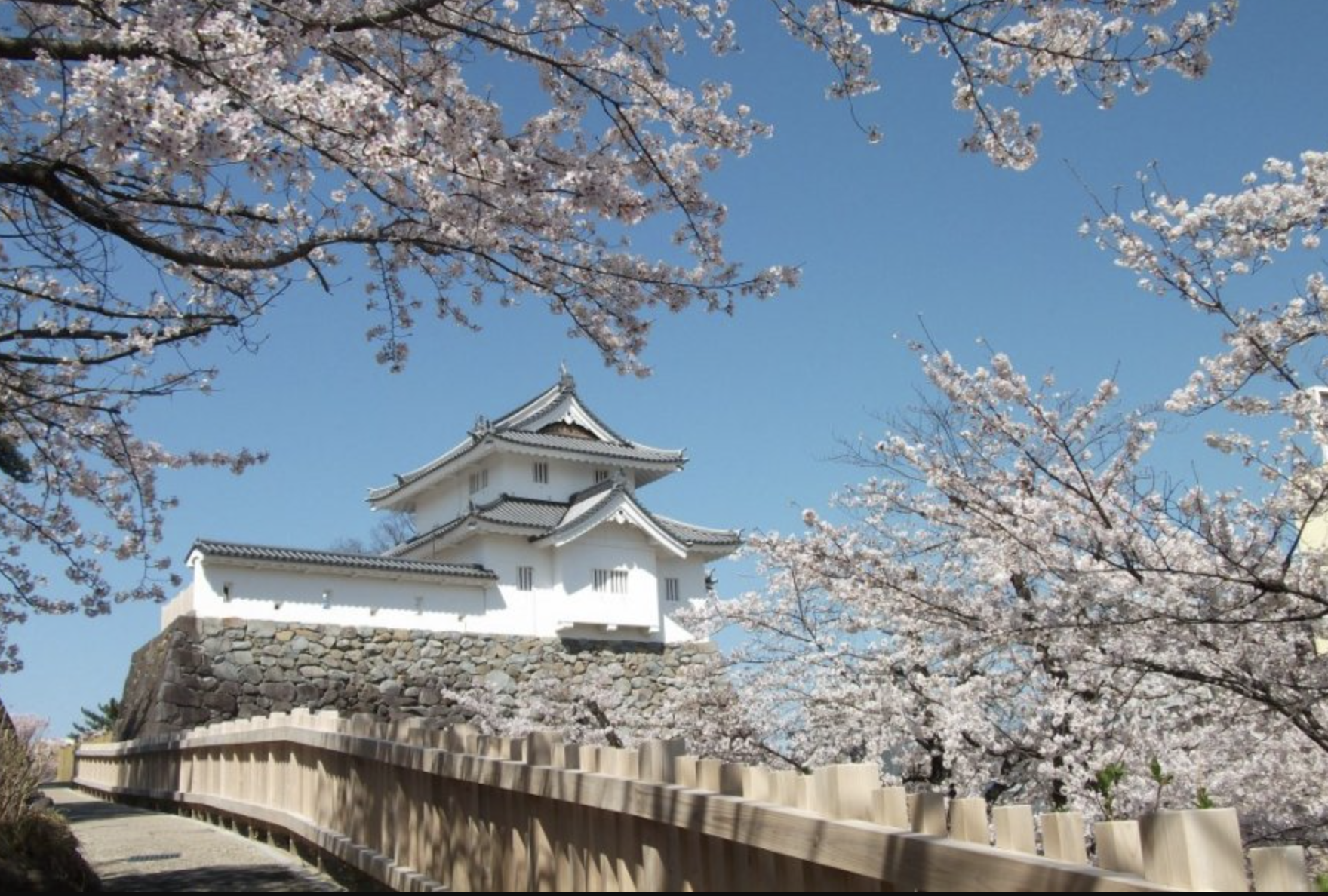 「山梨舞鶴城公園」古い遺跡